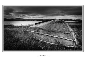 P9260328-5_IZ