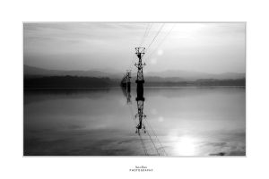 Untitled-8_IZ