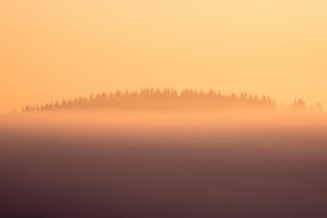 d347a609-7497-4a77-b0e0-e37d4fdf1c09_rw_1920