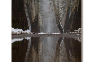 Velika_Aleja-Refleksija