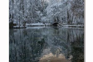 Vrelo_Bosne-5