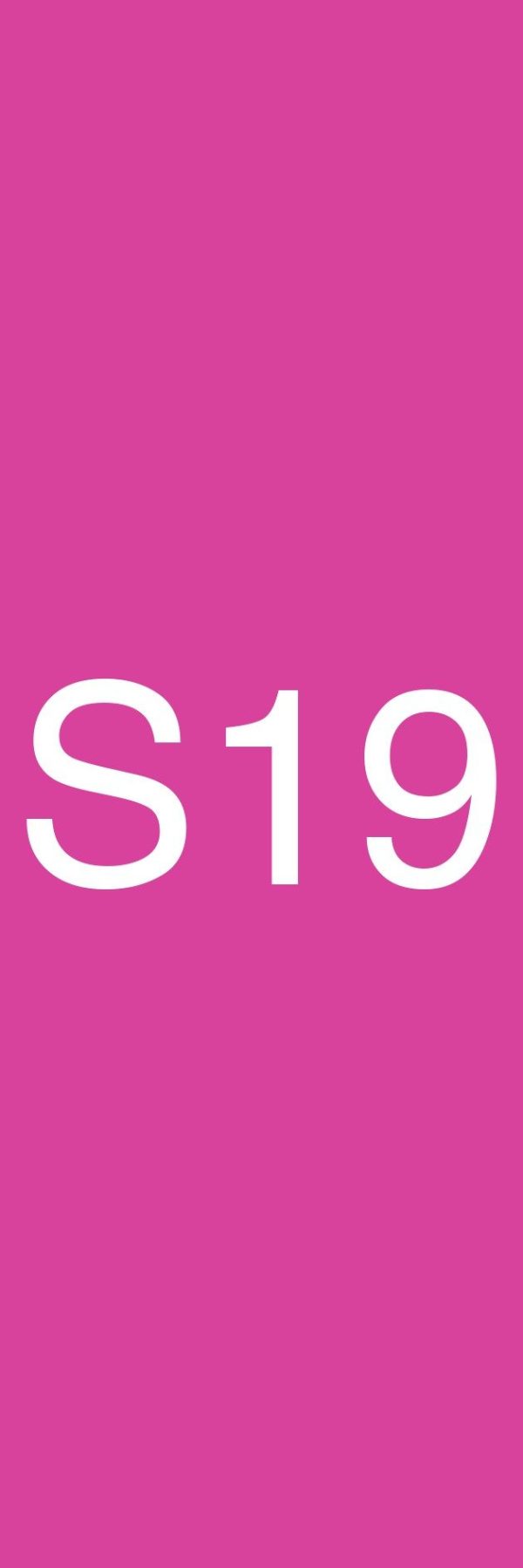 S19