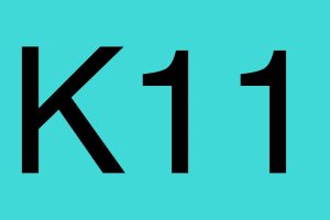 K11