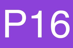 P16