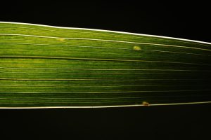DSC_1459