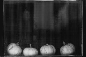 FOT_2139-3