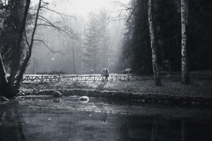 FOT_3302