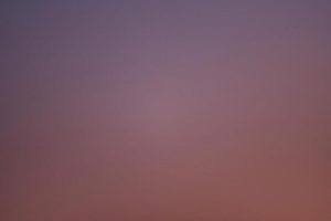NED_4188