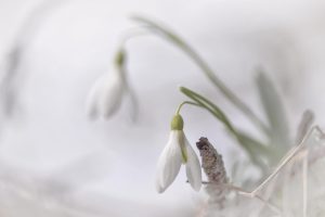 IMG_4947visibaba_x