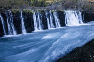 IMG_7684bu