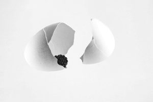 egg