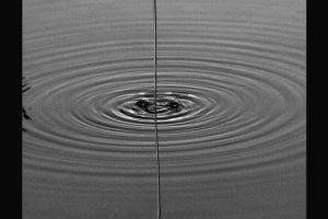 image00006-1