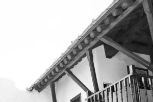 urbana_bosna